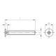 Viti di Sicurezza Metriche Antintrusione Testa Svasata Piana con Esagono Incassato e Piolo