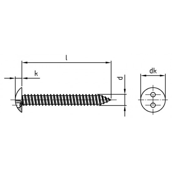 Viti di Sicurezza Autofilettanti a Testa Bombata con Due Fori