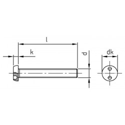 Viti di Sicurezza Metriche Testa Cilindrica con Due Fori