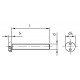 Viti di Sicurezza Metriche Testa Cilindrica con Due Fori